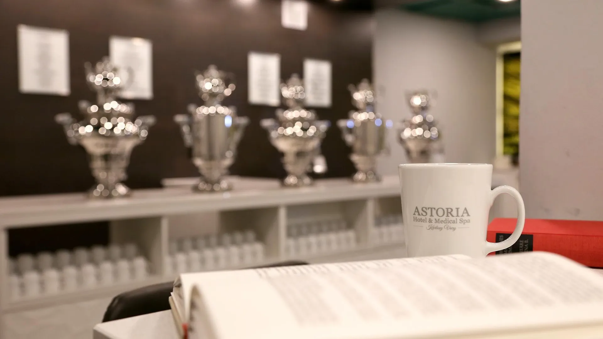 Art Deco Wolker By Astoria Hotel & Medical Spa Κάρλοβι Βάρι